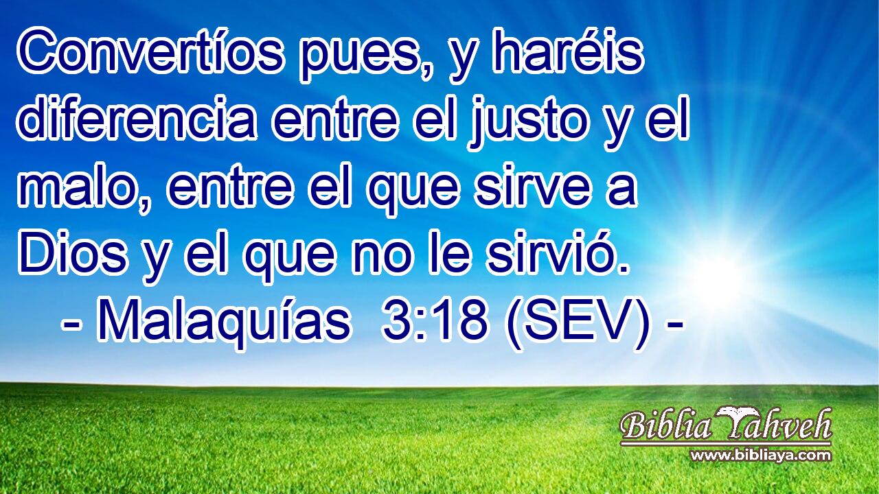 Convertíos pues, y haréis diferencia entre el justo y el malo, entre el que sirve a Dios y el que no le sirvió.