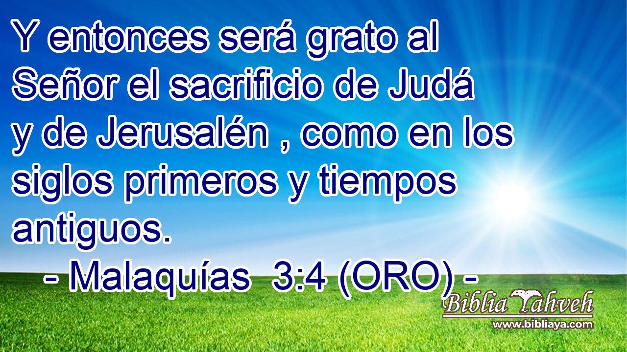  Y entonces será grato al Señor el sacrificio de Judá y de Jerusalén , como en los siglos primeros y tiempos antiguos. 