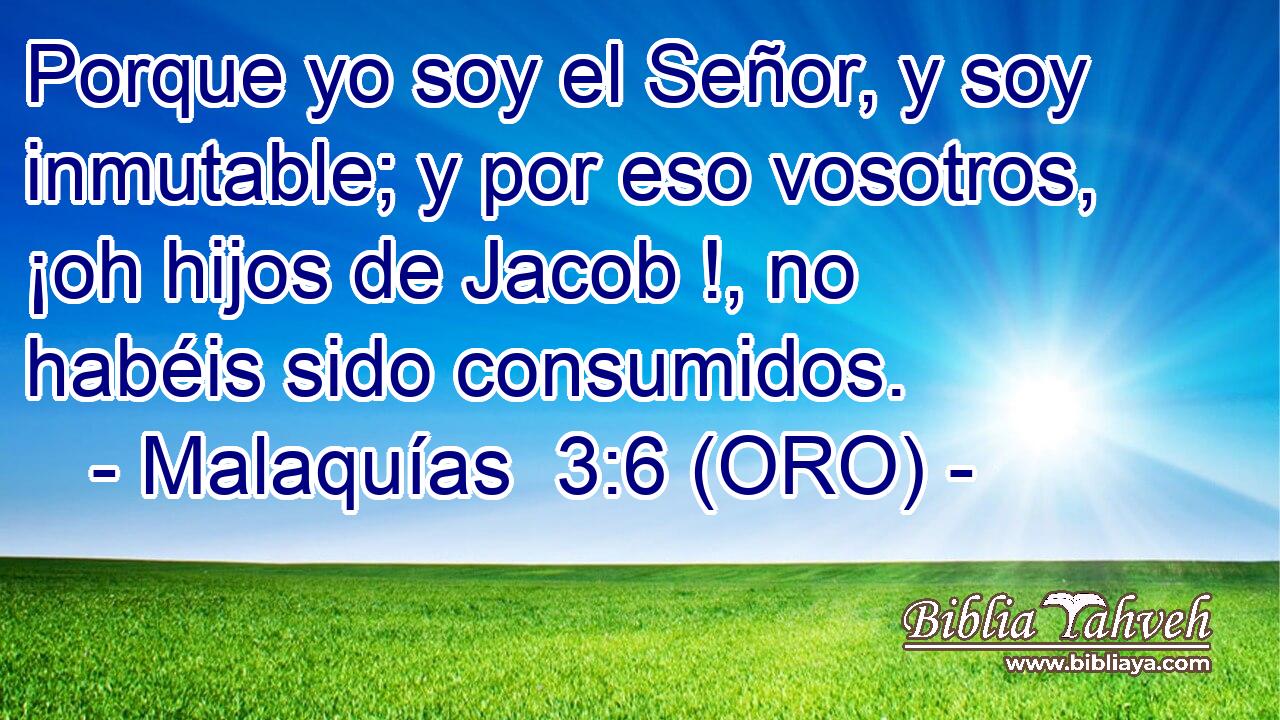  Porque yo soy el Señor, y soy inmutable; y por eso vosotros, ¡oh hijos de Jacob !, no habéis sido consumidos. 