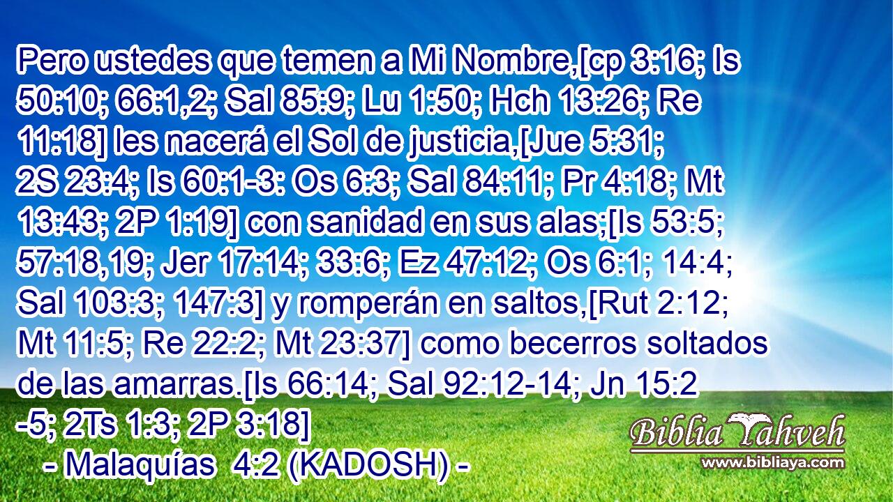  Pero ustedes que temen a Mi Nombre,[cp 3:16; Is 50:10; 66:1,2; Sal 85:9; Lu 1:50; Hch 13:26; Re 11:18] les nacerá el Sol de justicia,[Jue 5:31; 2S 23:4; Is 60:1-3: Os 6:3; Sal 84:11; Pr 4:18; Mt 13:43; 2P 1:19] con sanidad en sus alas;[Is 53:5; 57:18,19; Jer 17:14; 33:6; Ez 47:12; Os 6:1; 14:4; Sal 103:3; 147:3] y romperán en saltos,[Rut 2:12; Mt 11:5; Re 22:2; Mt 23:37] como becerros soltados de las amarras.[Is 66:14; Sal 92:12-14; Jn 15:2 -5; 2Ts 1:3; 2P 3:18] 