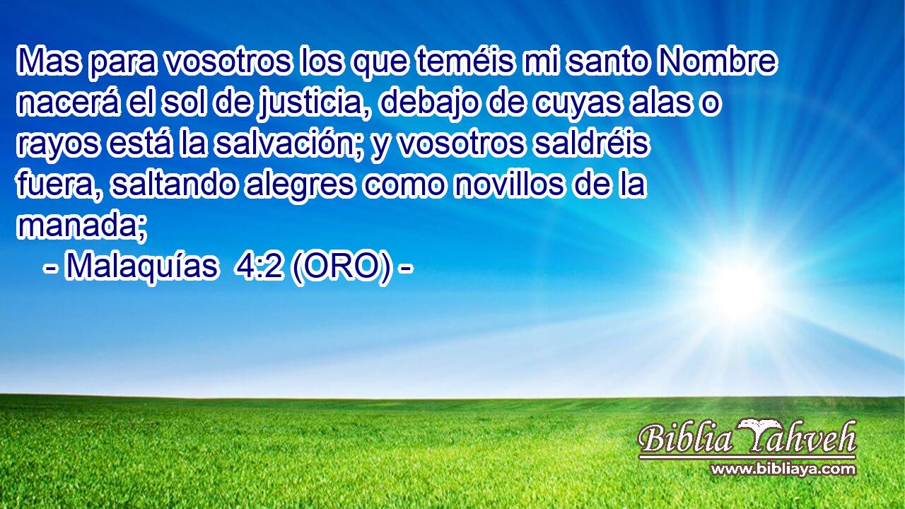  Mas para vosotros los que teméis mi santo Nombre nacerá el sol de justicia, debajo de cuyas alas o rayos está la salvación; y vosotros saldréis fuera, saltando alegres como novillos de la manada; 