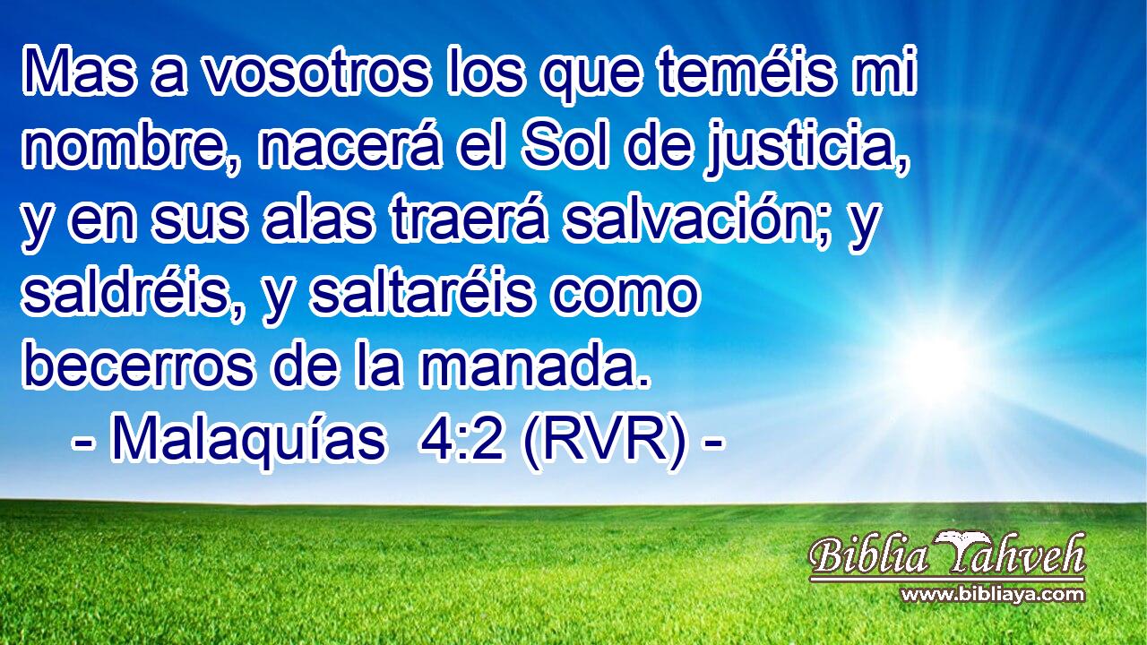 Mas a vosotros los que teméis mi nombre, nacerá el Sol de justicia, y en sus alas traerá salvación; y saldréis, y saltaréis como becerros de la manada.