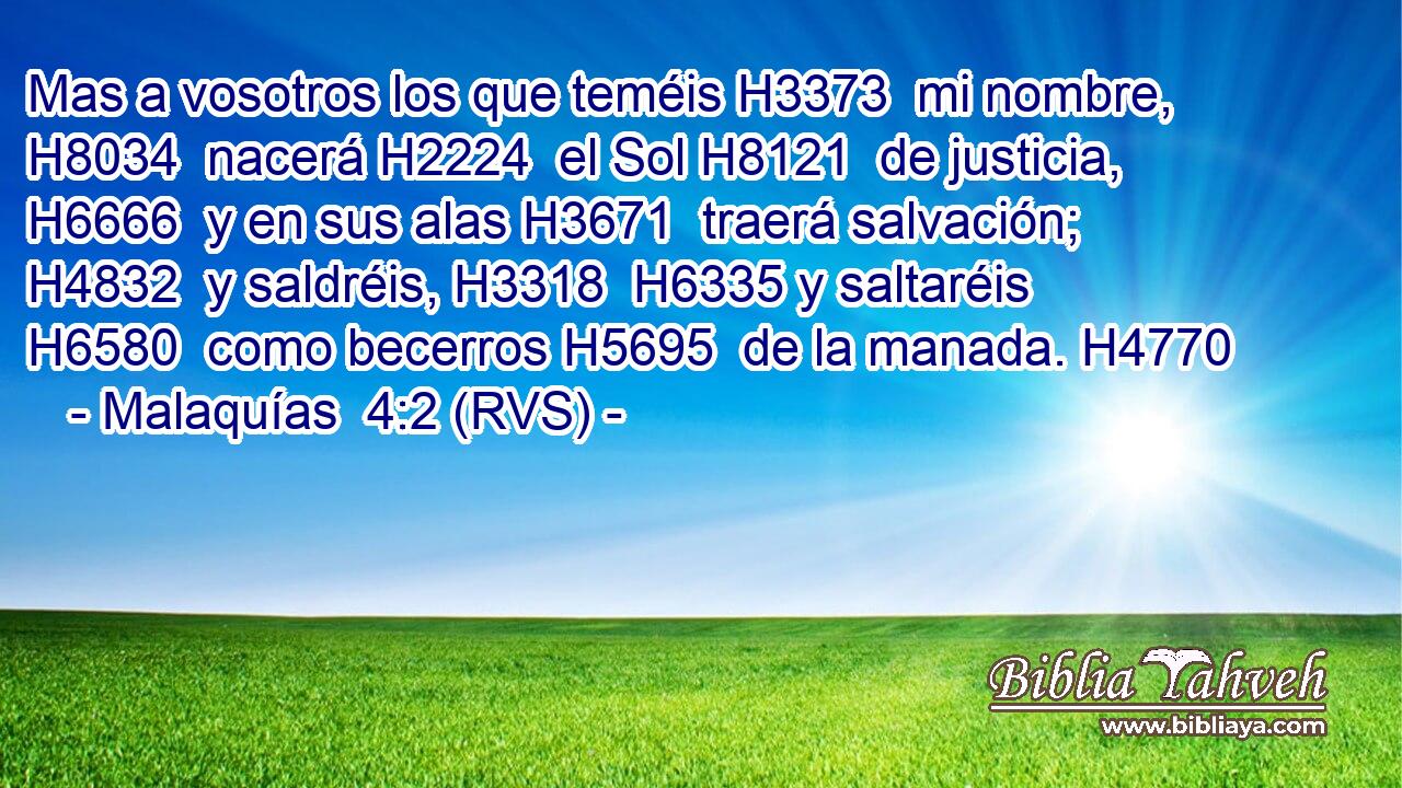 Mas a vosotros los que teméis H3373  mi nombre, H8034  nacerá H2224  el Sol H8121  de justicia, H6666  y en sus alas H3671  traerá salvación; H4832  y saldréis, H3318  H6335 y saltaréis H6580  como becerros H5695  de la manada. H4770  