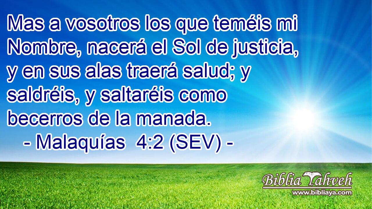 Mas a vosotros los que teméis mi Nombre, nacerá el Sol de justicia, y en sus alas traerá salud; y saldréis, y saltaréis como becerros de la manada.