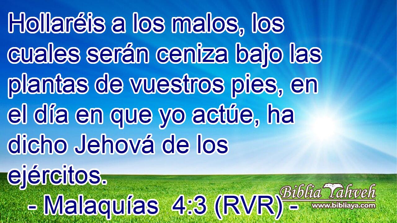 Hollaréis a los malos, los cuales serán ceniza bajo las plantas de vuestros pies, en el día en que yo actúe, ha dicho Jehová de los ejércitos.