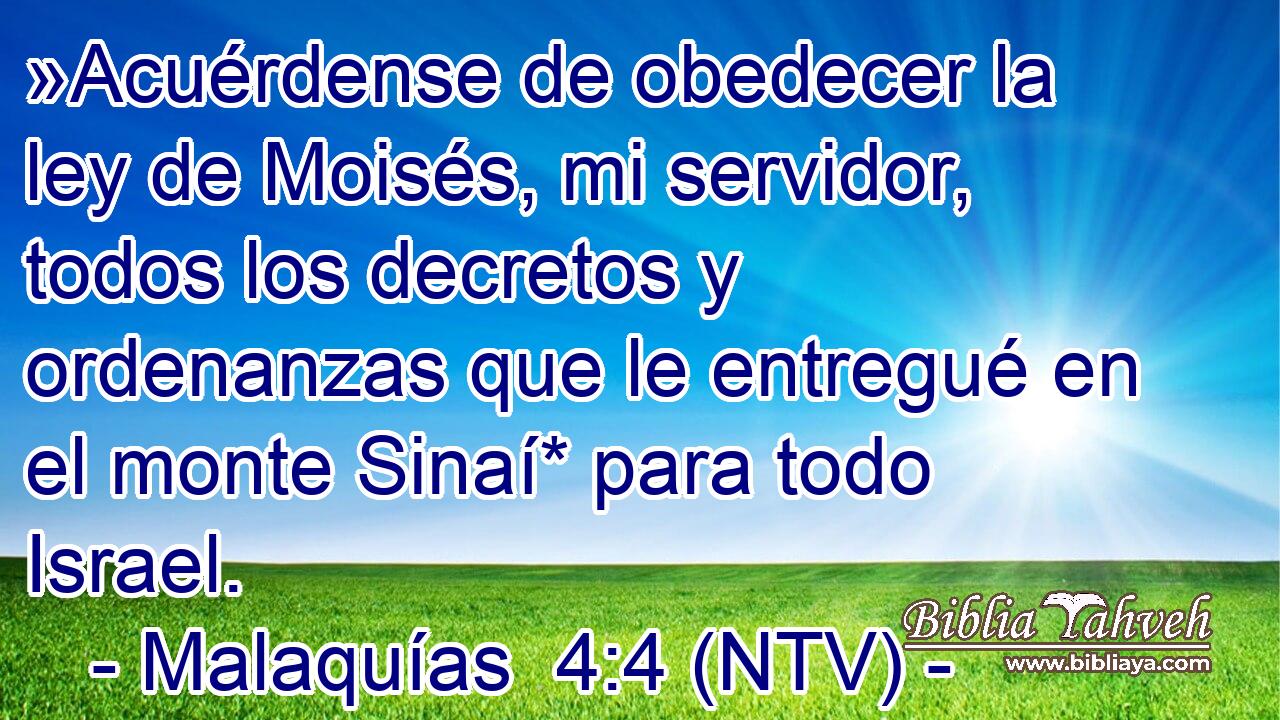 »Acuérdense de obedecer la ley de Moisés, mi servidor, todos los decretos y ordenanzas que le entregué en el monte Sinaí* para todo Israel.