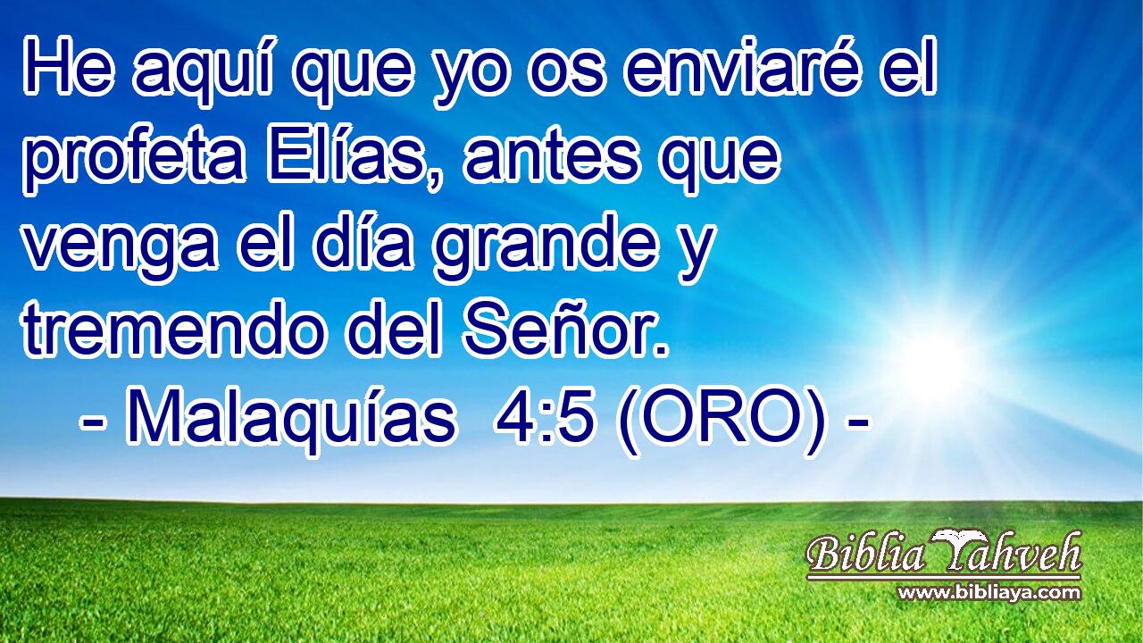  He aquí que yo os enviaré el profeta Elías, antes que venga el día grande y tremendo del Señor. 