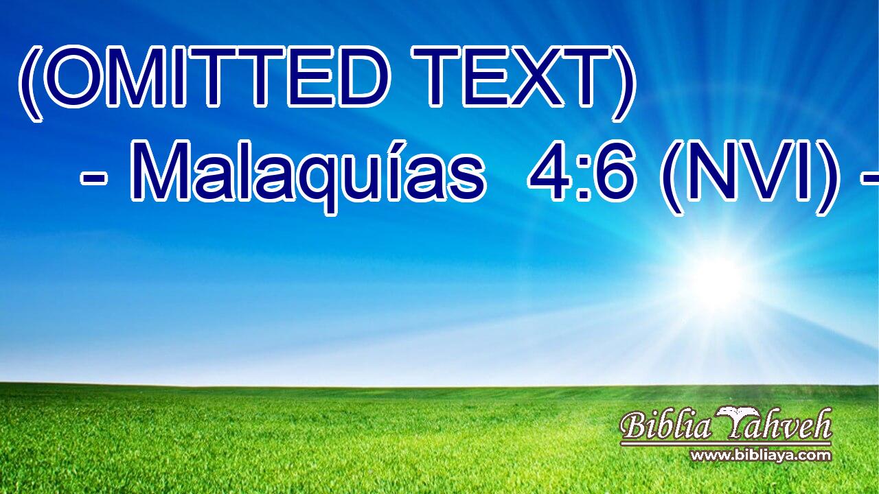  (OMITTED TEXT) 