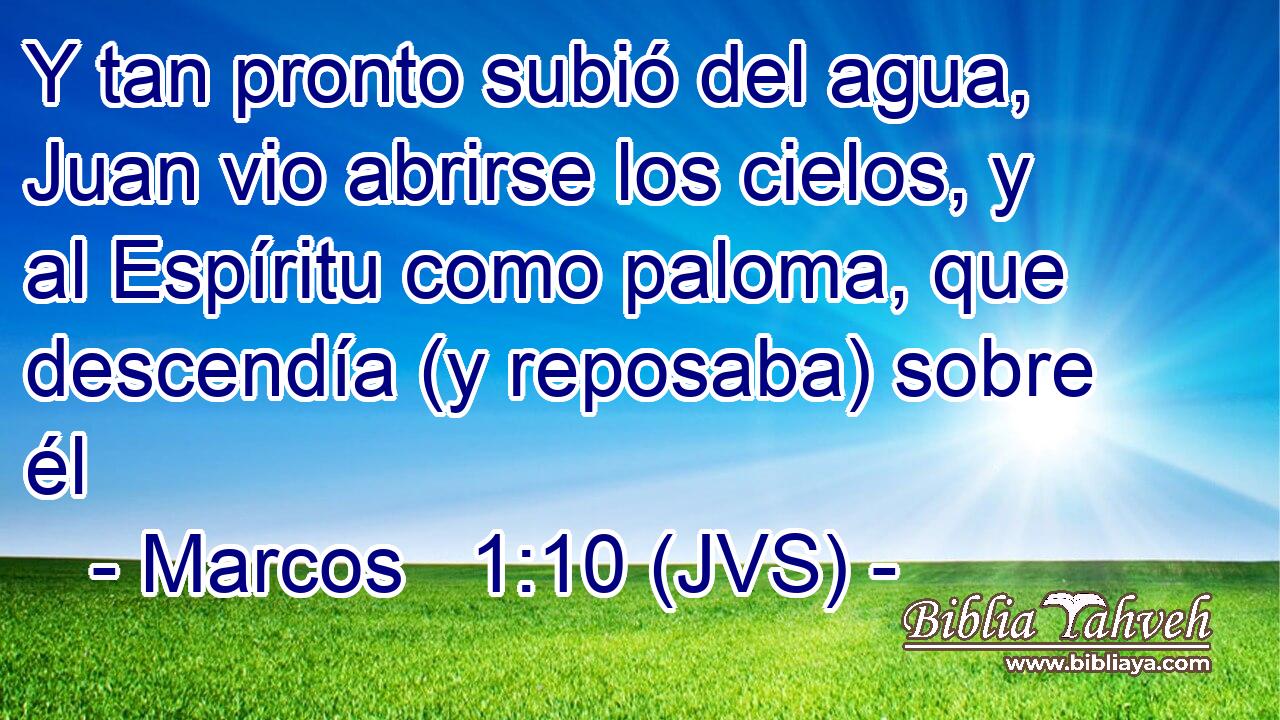 Y tan pronto subió del agua, Juan vio abrirse los cielos, y al Espíritu como paloma, que descendía (y reposaba) sobre él