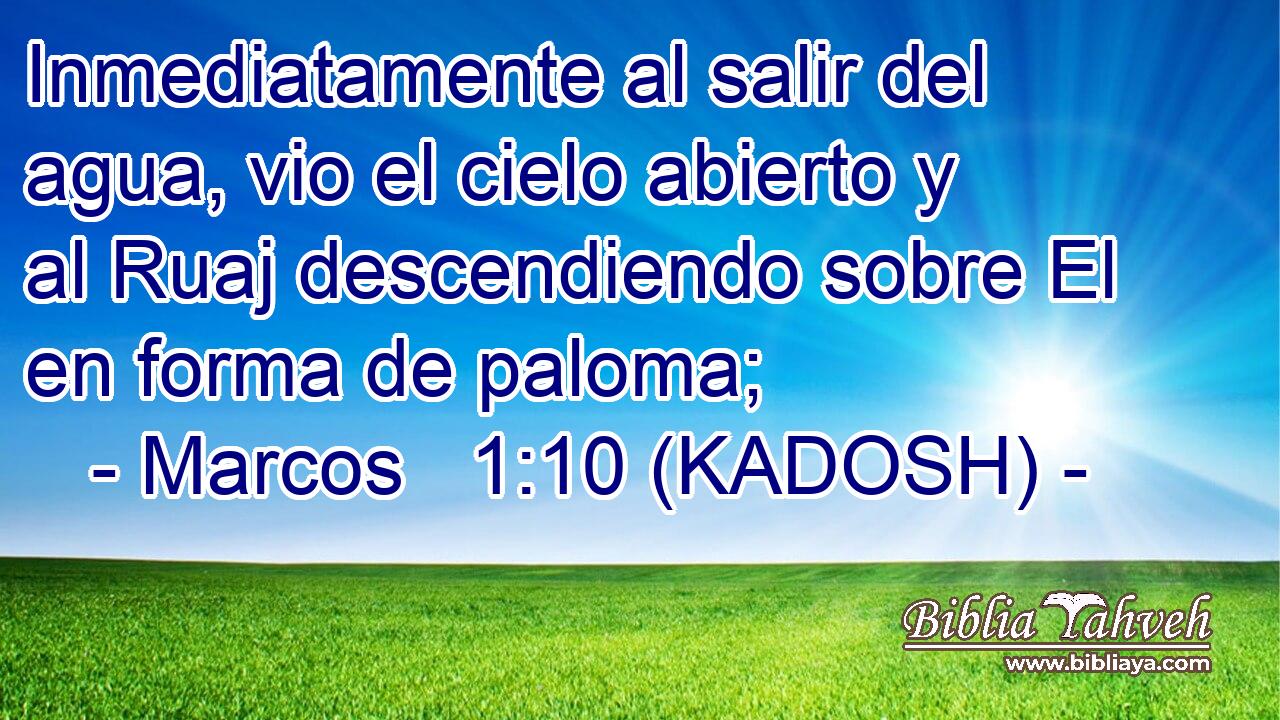  Inmediatamente al salir del agua, vio el cielo abierto y al Ruaj descendiendo sobre El en forma de paloma; 