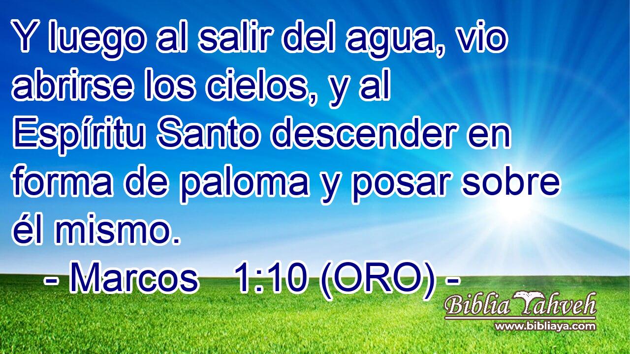  Y luego al salir del agua, vio abrirse los cielos, y al Espíritu Santo descender en forma de paloma y posar sobre él mismo. 