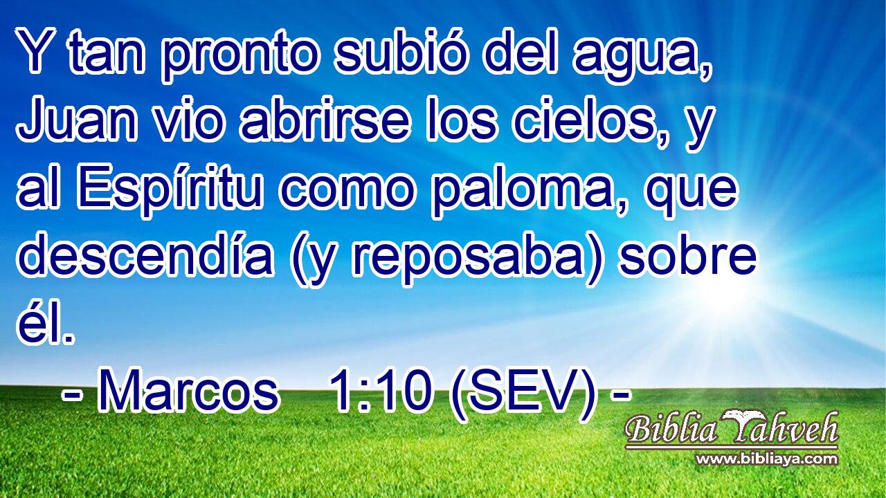 Y tan pronto subió del agua, Juan vio abrirse los cielos, y al Espíritu como paloma, que descendía (y reposaba) sobre él.