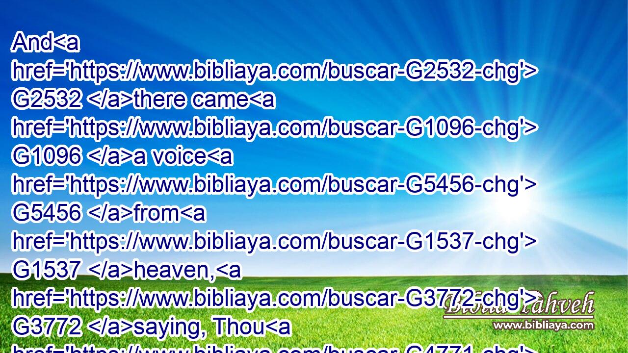 And G2532 there came G1096 a voice G5456 from G1537 heaven, G3772 saying, Thou G4771 art G1488 my G3450 beloved G27 Son, G5207 in G1722 whom G3739 I am well pleased.G2106