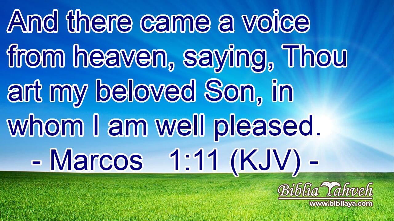 And there came a voice from heaven, saying, Thou art my beloved Son, in whom I am well pleased.