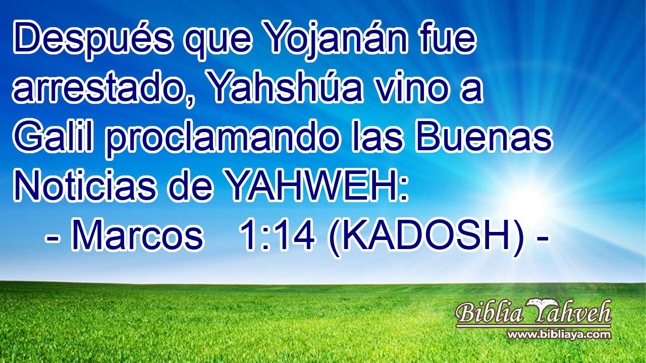 Después que Yojanán fue arrestado, Yahshúa vino a Galil proclamando las Buenas Noticias de YAHWEH: 