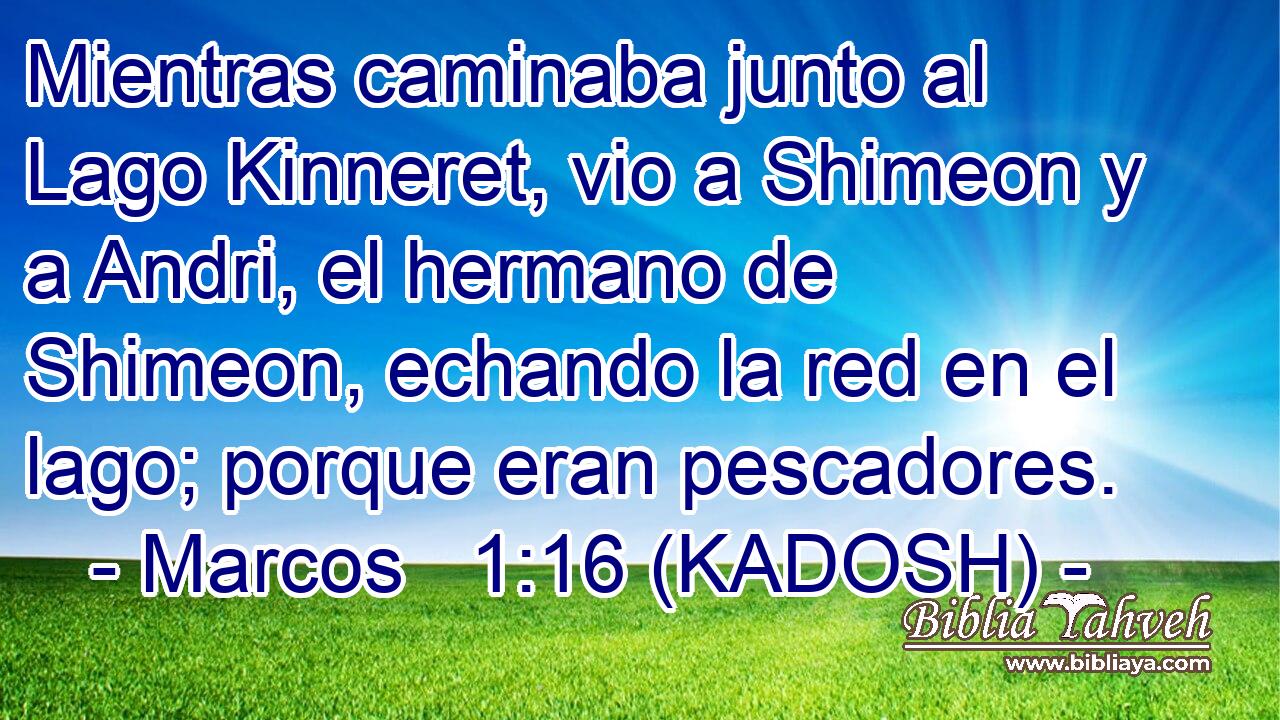  Mientras caminaba junto al Lago Kinneret, vio a Shimeon y a Andri, el hermano de Shimeon, echando la red en el lago; porque eran pescadores. 