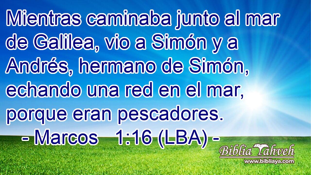 Mientras caminaba junto al mar de Galilea, vio a Simón y a Andrés, hermano de Simón, echando una red en el mar, porque eran pescadores.
