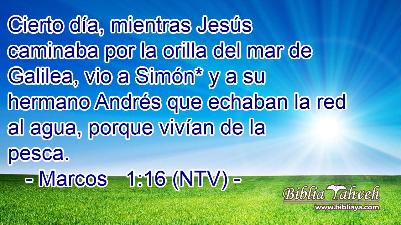Cierto día, mientras Jesús caminaba por la orilla del mar de Galilea, vio a Simón* y a su hermano Andrés que echaban la red al agua, porque vivían de la pesca.