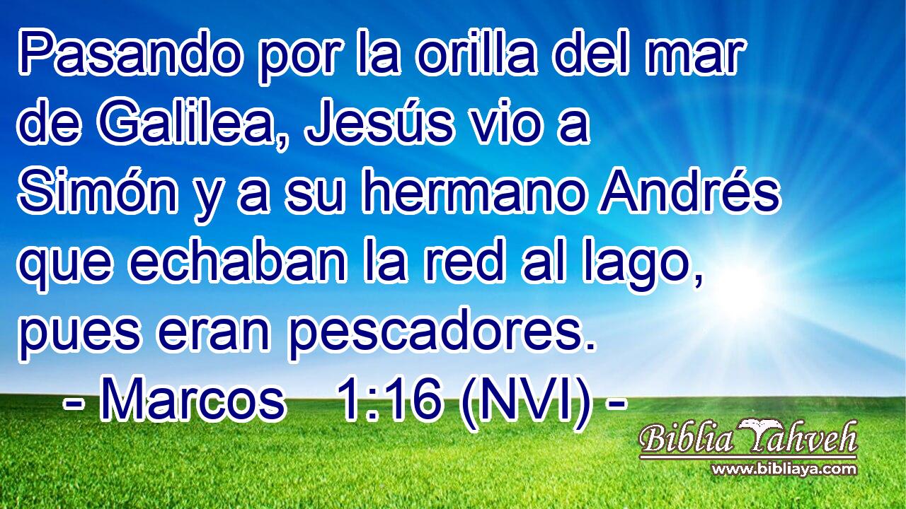  Pasando por la orilla del mar de Galilea, Jesús vio a Simón y a su hermano Andrés que echaban la red al lago, pues eran pescadores. 