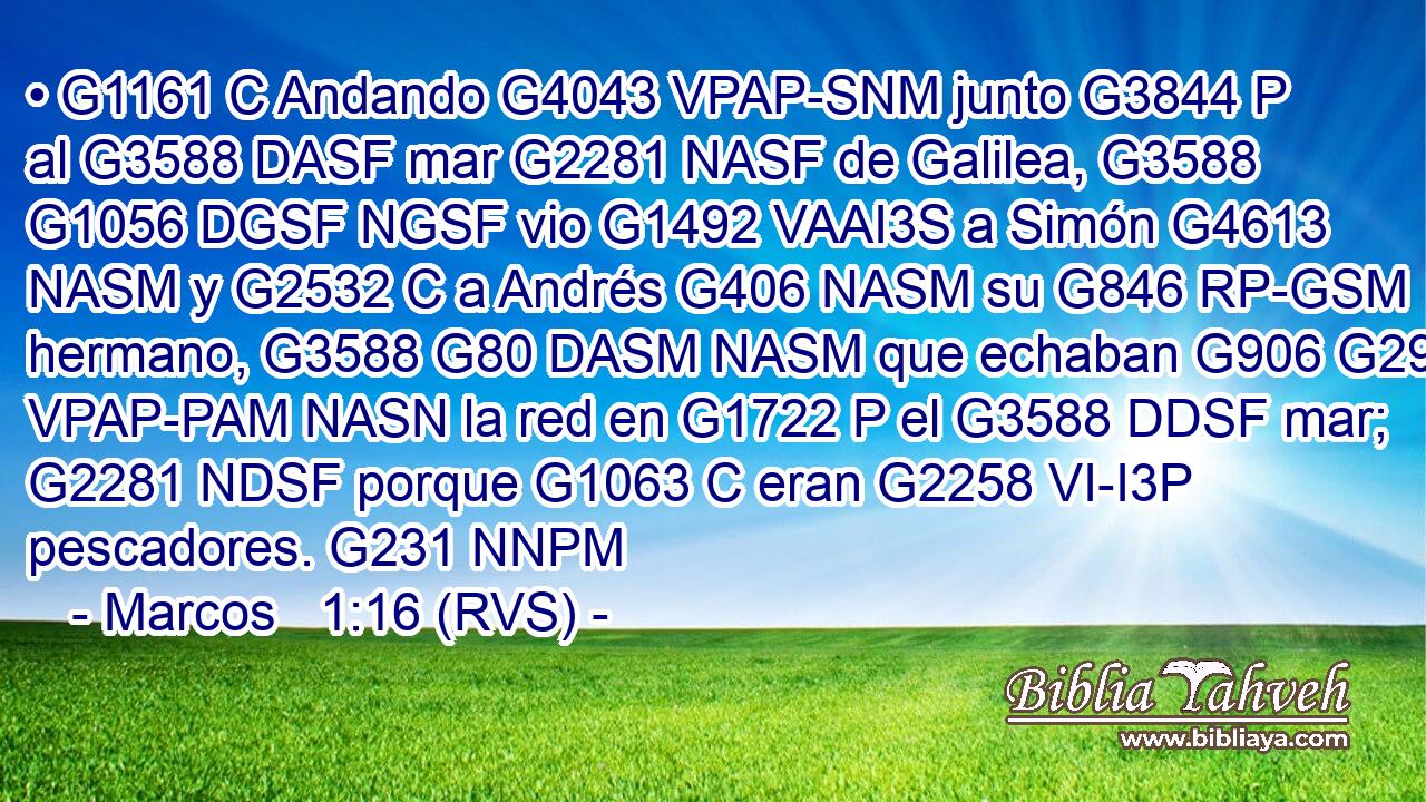 • G1161 C Andando G4043 VPAP-SNM junto G3844 P al G3588 DASF mar G2281 NASF de Galilea, G3588 G1056 DGSF NGSF vio G1492 VAAI3S a Simón G4613 NASM y G2532 C a Andrés G406 NASM su G846 RP-GSM hermano, G3588 G80 DASM NASM que echaban G906 G293 VPAP-PAM NASN la red en G1722 P el G3588 DDSF mar; G2281 NDSF porque G1063 C eran G2258 VI-I3P pescadores. G231 NNPM 