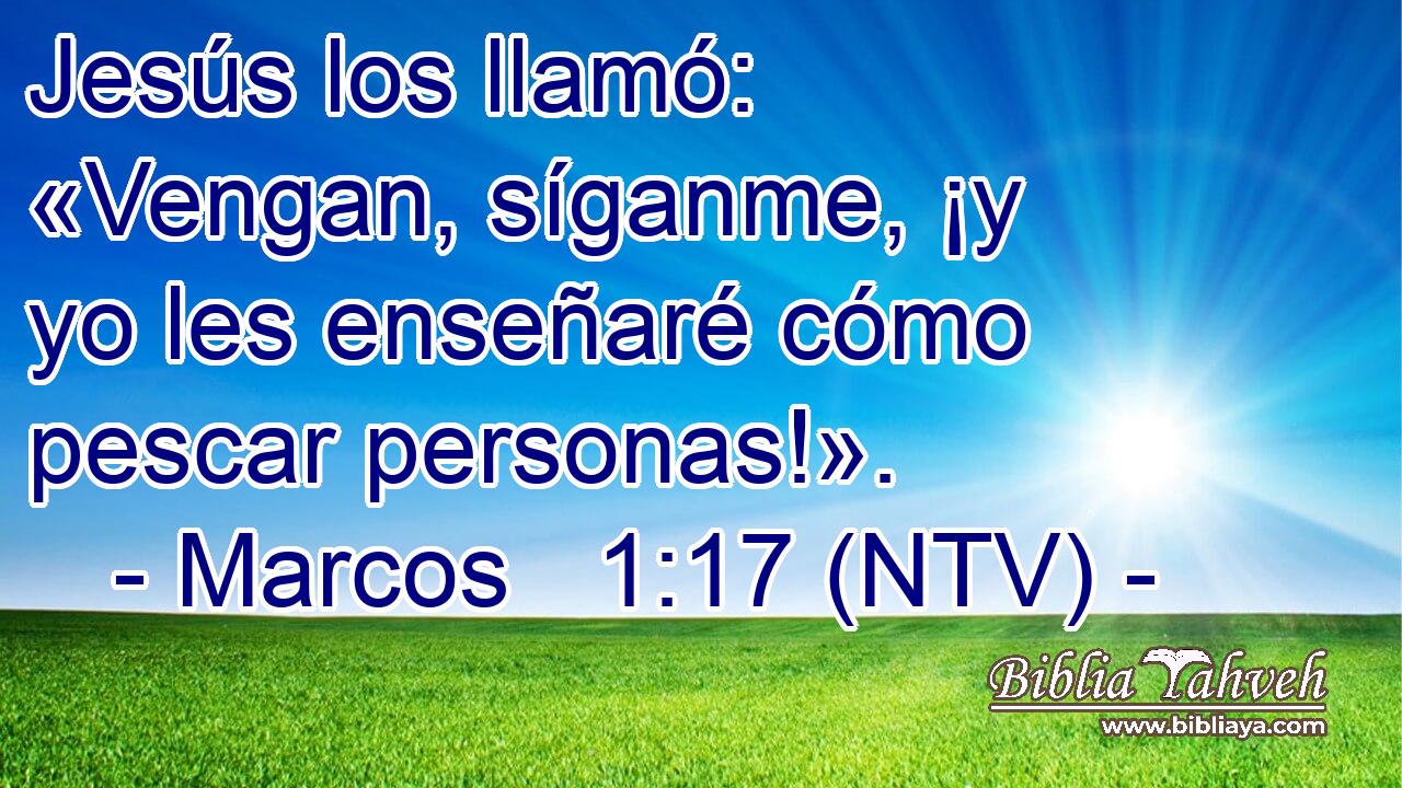 Jesús los llamó: «Vengan, síganme, ¡y yo les enseñaré cómo pescar personas!».