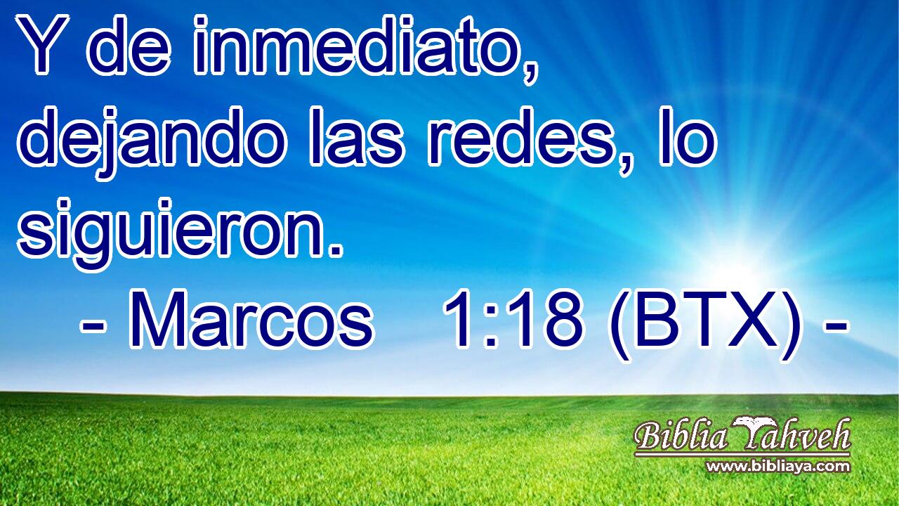 Y de inmediato, dejando las redes, lo siguieron.