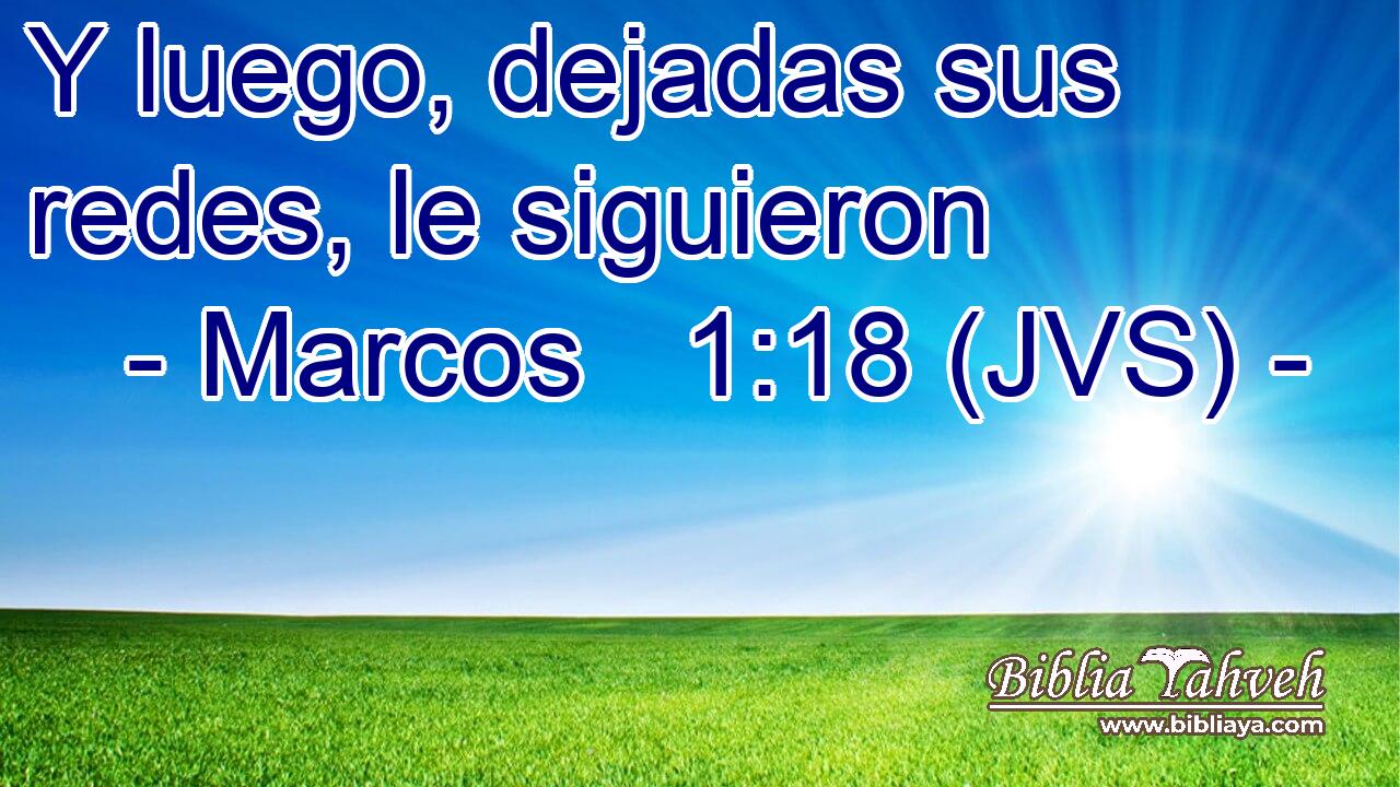 Y luego, dejadas sus redes, le siguieron