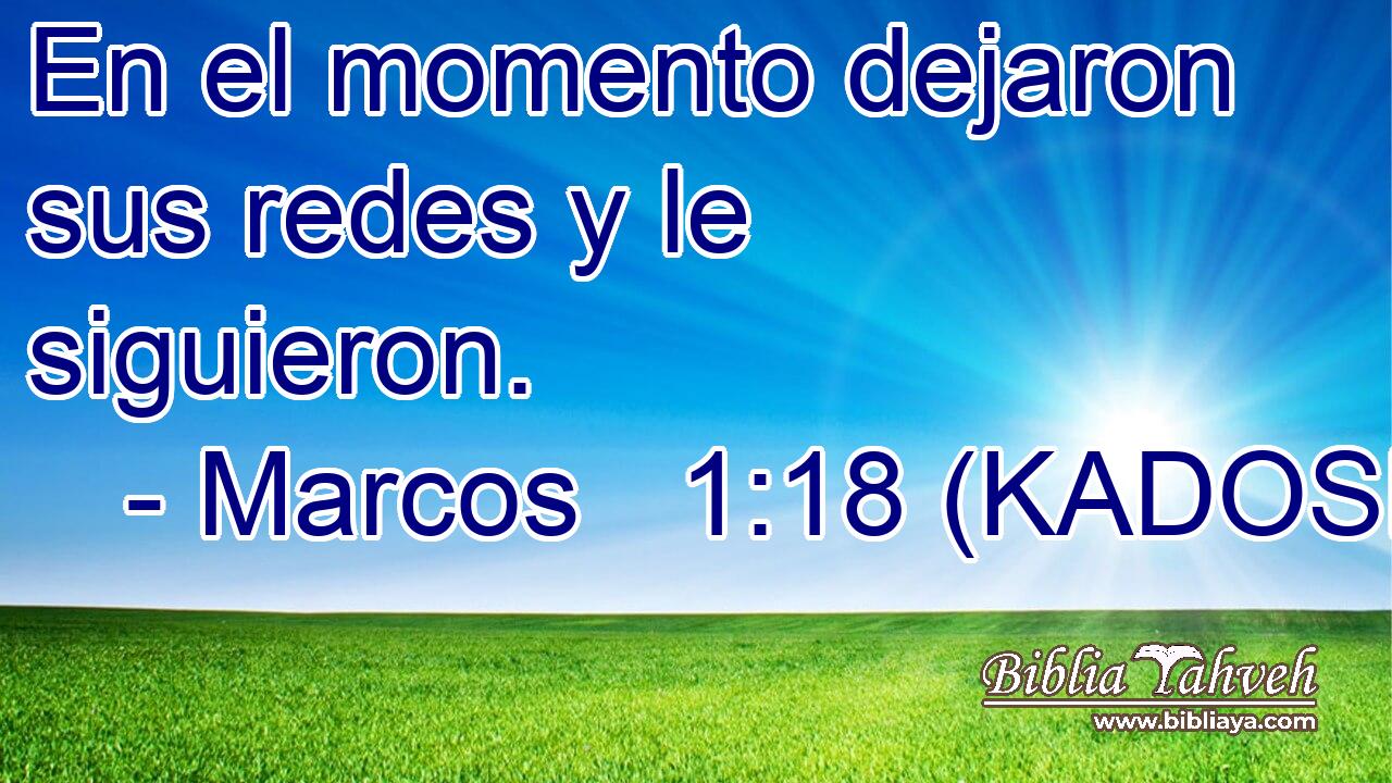  En el momento dejaron sus redes y le siguieron. 