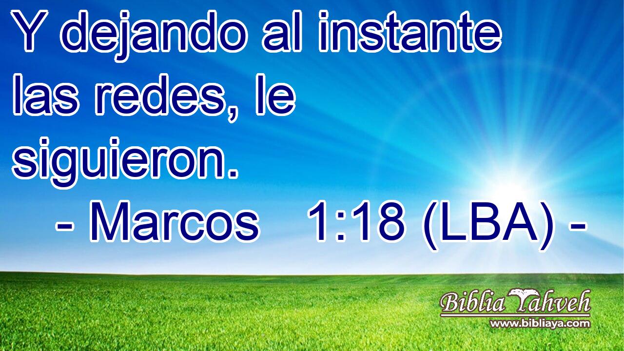 Y dejando al instante las redes, le siguieron.