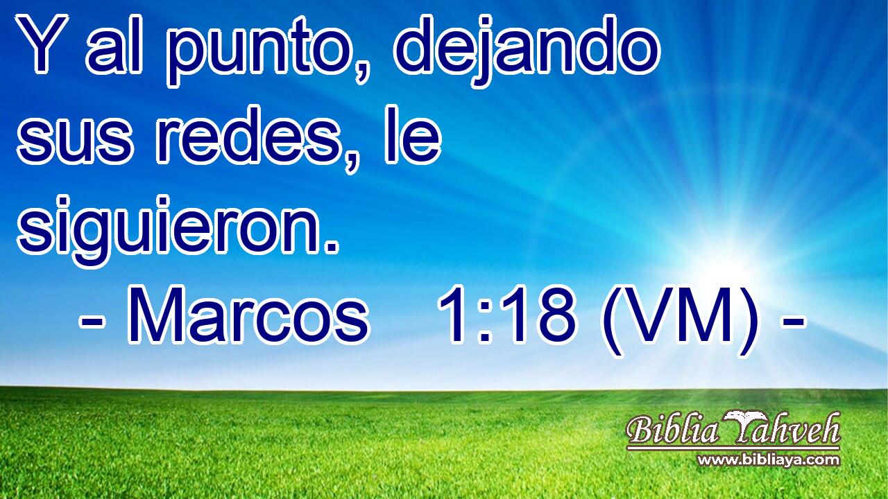  Y al punto, dejando sus redes, le siguieron. 