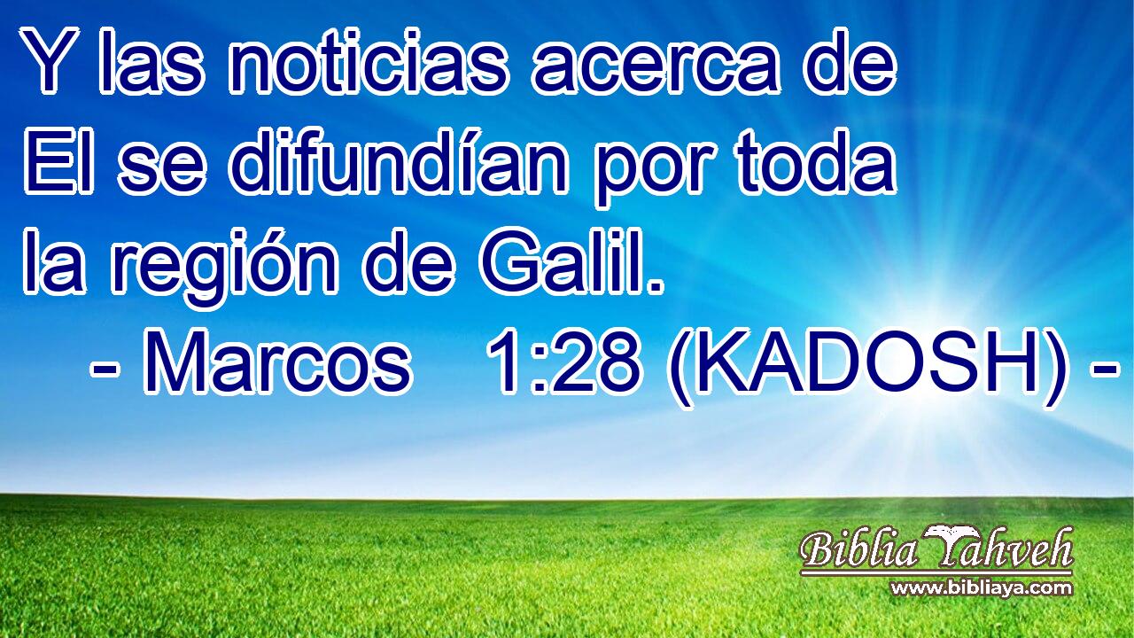  Y las noticias acerca de El se difundían por toda la región de Galil. 