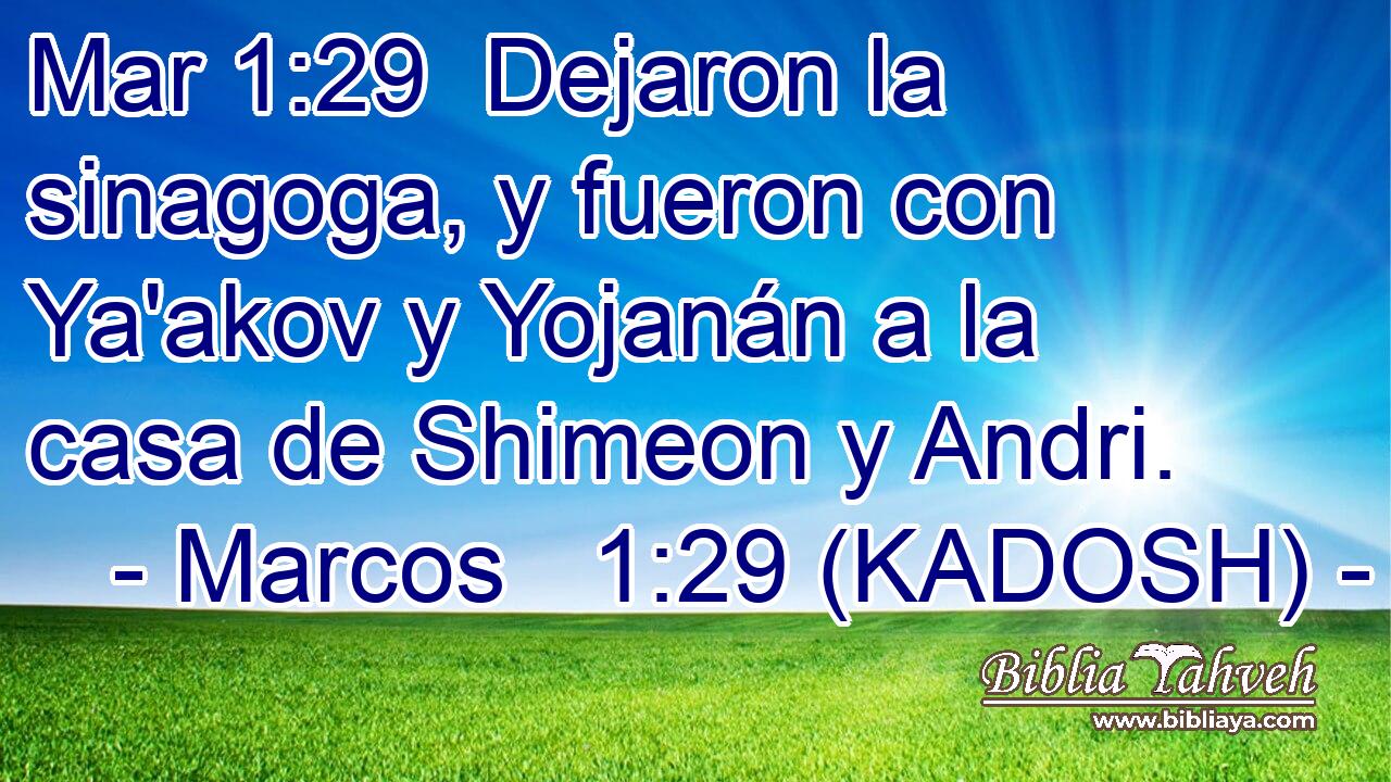  Dejaron la sinagoga, y fueron con Ya'akov y Yojanán a la casa de Shimeon y Andri. 