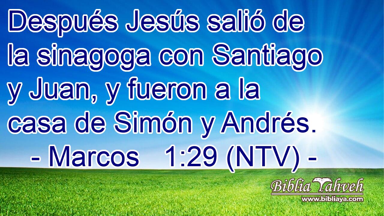 Después Jesús salió de la sinagoga con Santiago y Juan, y fueron a la casa de Simón y Andrés.