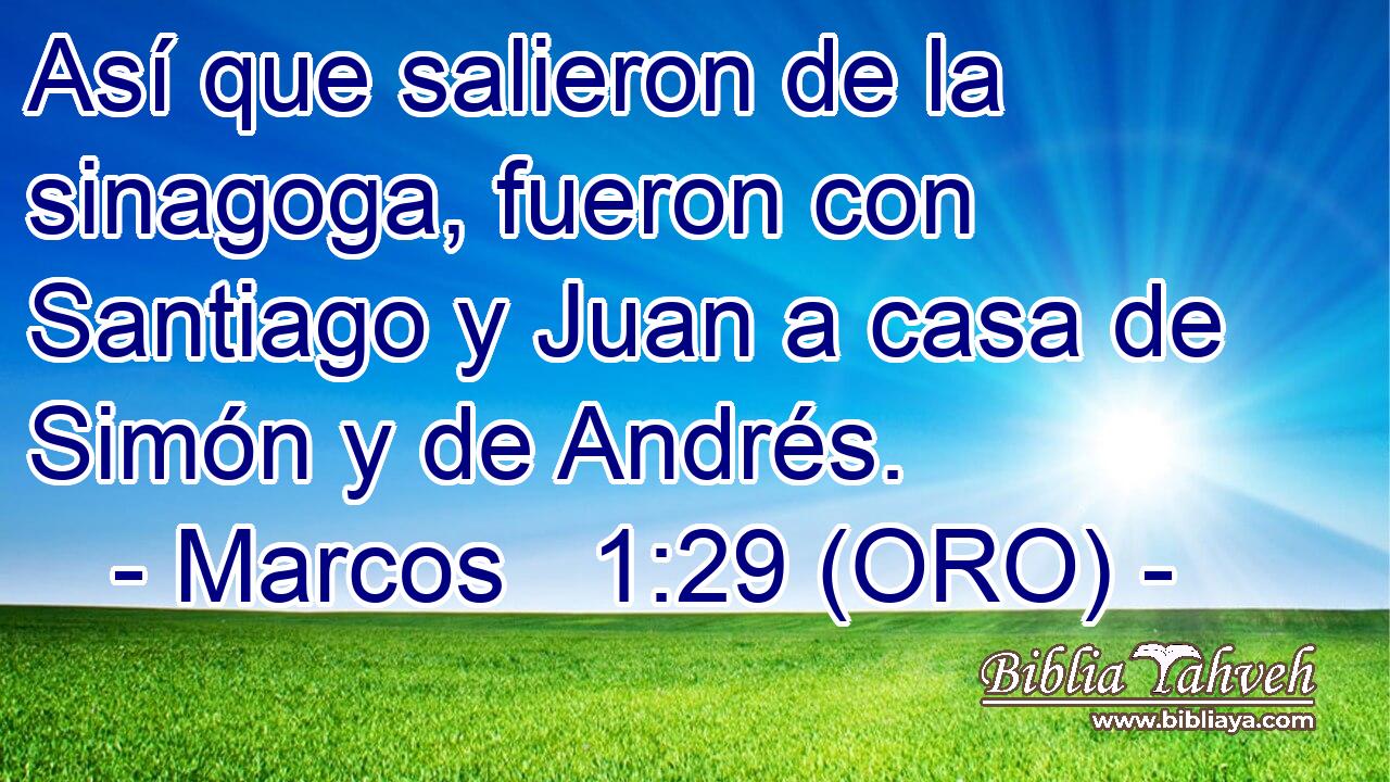  Así que salieron de la sinagoga, fueron con Santiago y Juan a casa de Simón y de Andrés. 