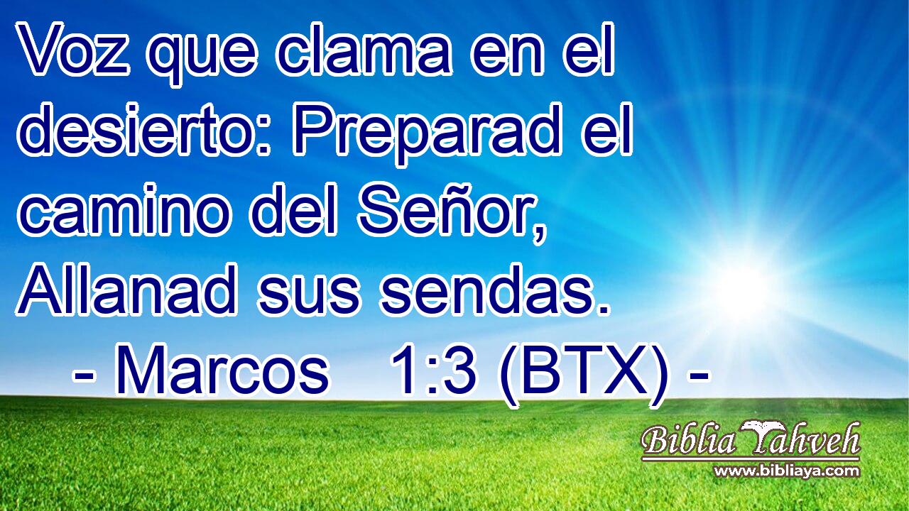 Voz que clama en el desierto: Preparad el camino del Señor, Allanad sus sendas.