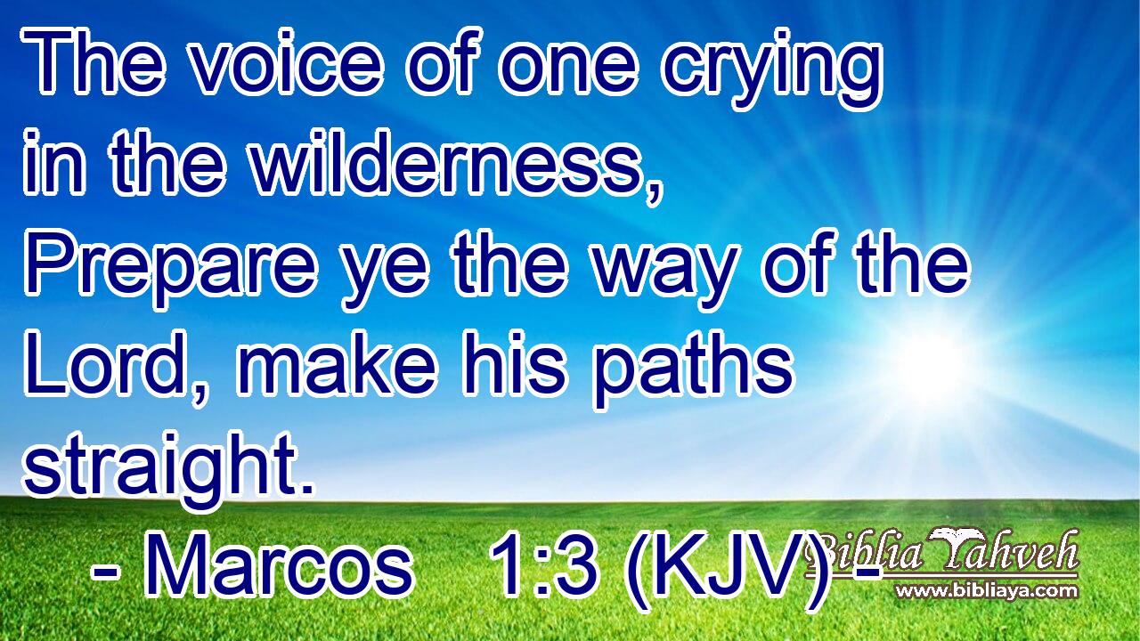 The voice of one crying in the wilderness, Prepare ye the way of the Lord, make his paths straight.