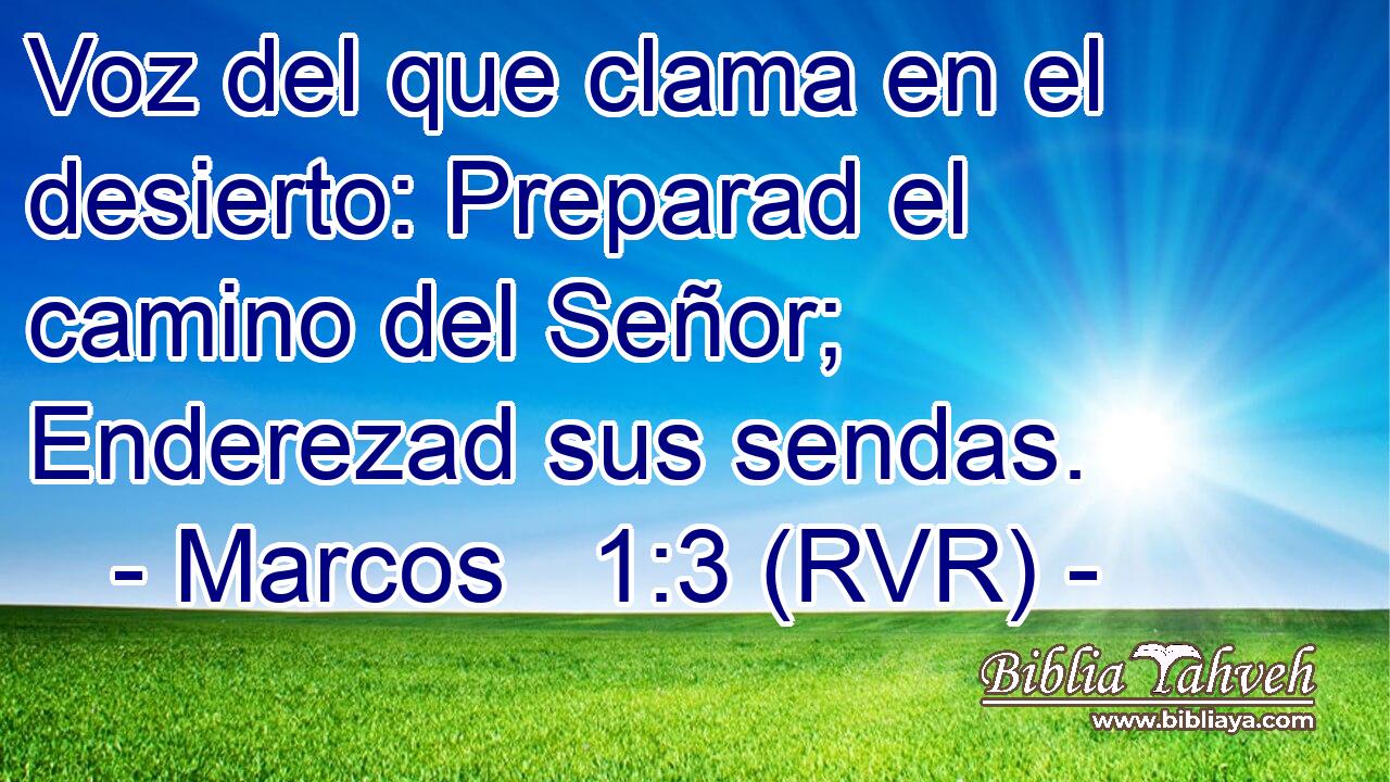Voz del que clama en el desierto: Preparad el camino del Señor; Enderezad sus sendas.