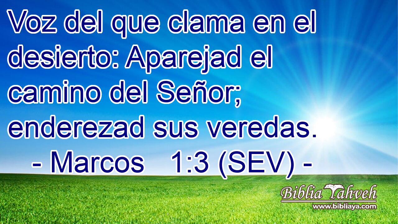 Voz del que clama en el desierto: Aparejad el camino del Señor; enderezad sus veredas.