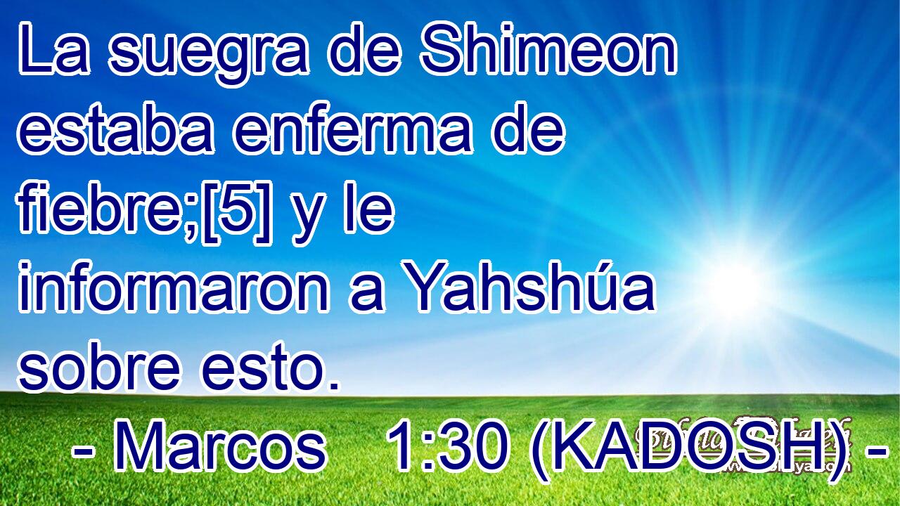  La suegra de Shimeon estaba enferma de fiebre;[5] y le informaron a Yahshúa sobre esto. 