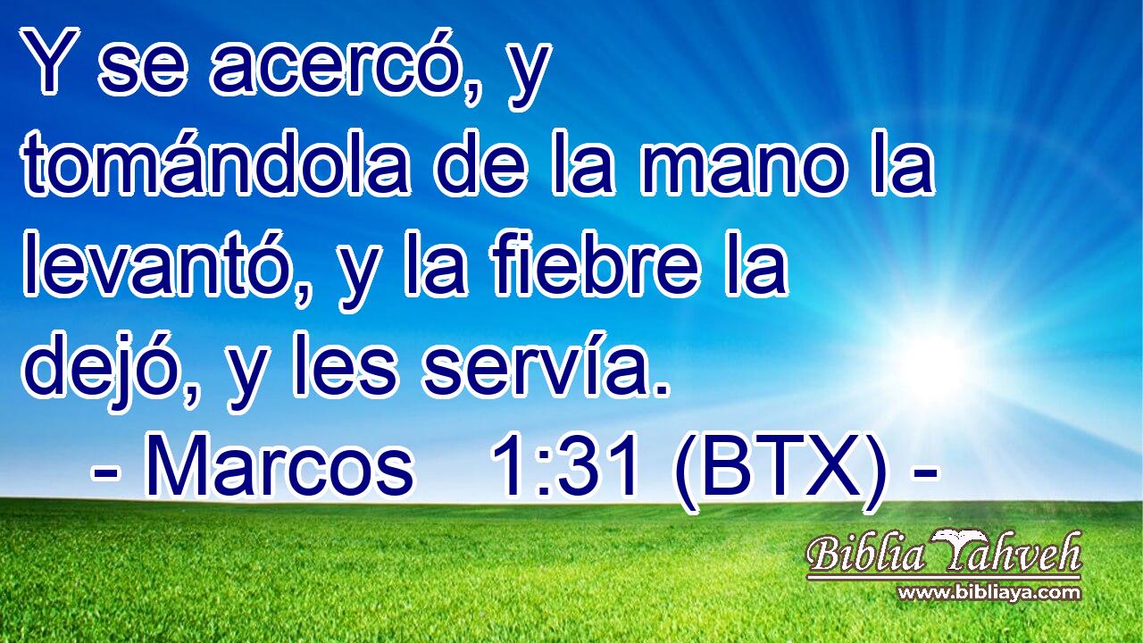 Y se acercó, y tomándola de la mano la levantó, y la fiebre la dejó, y les servía.