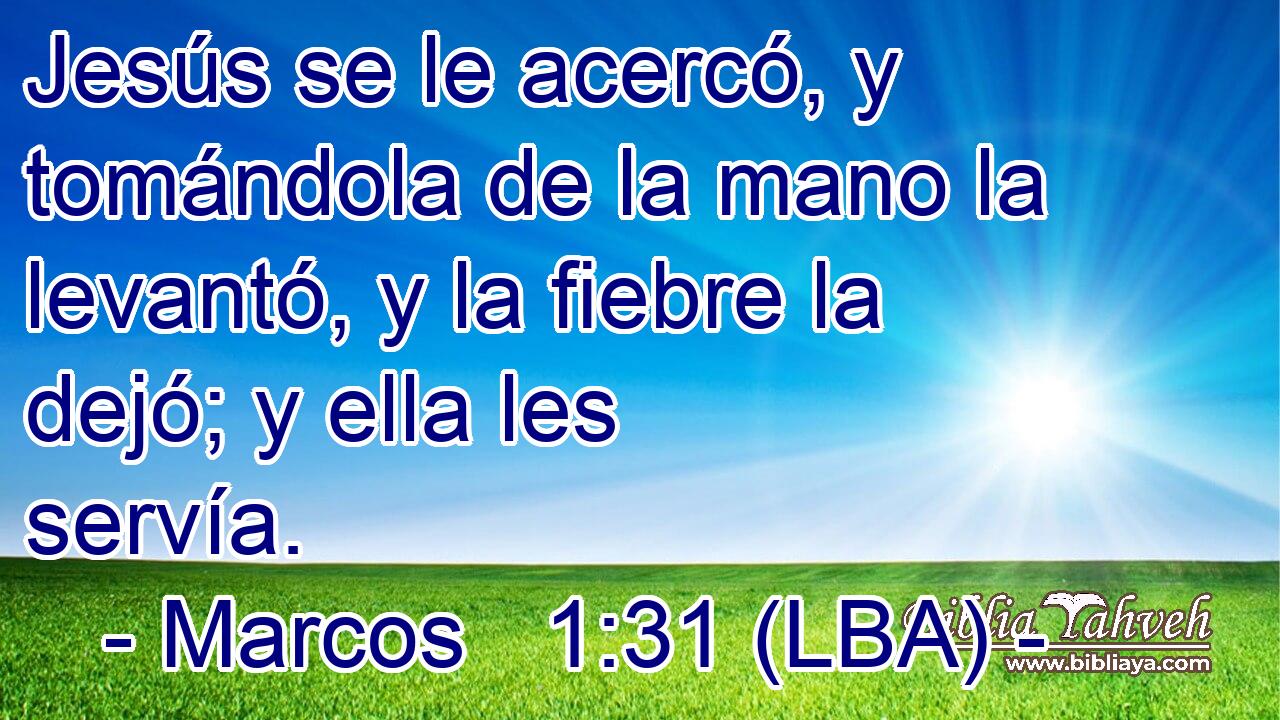Jesús se le acercó, y tomándola de la mano la levantó, y la fiebre la dejó; y ella les servía.