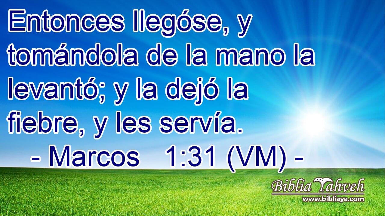  Entonces llegóse, y tomándola de la mano la levantó; y la dejó la fiebre, y les servía. 