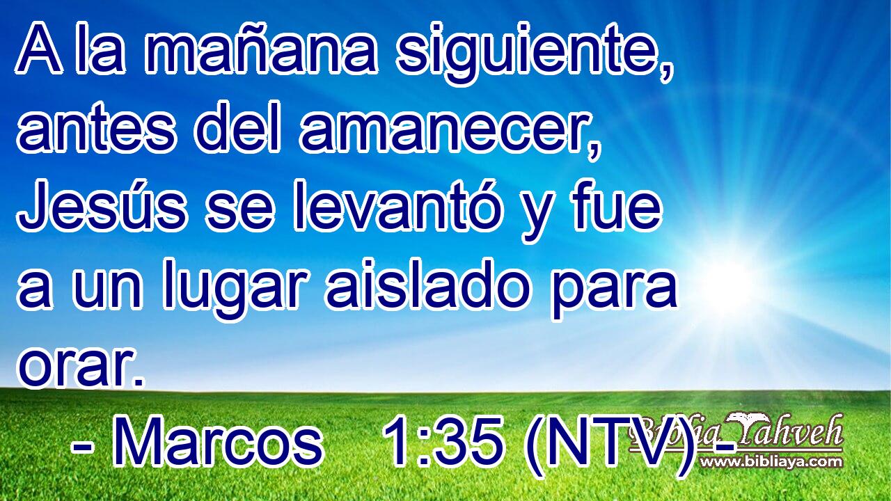 A la mañana siguiente, antes del amanecer, Jesús se levantó y fue a un lugar aislado para orar.
