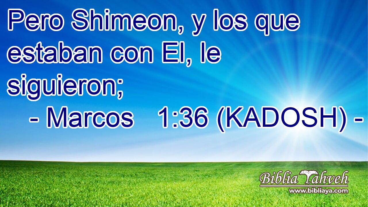  Pero Shimeon, y los que estaban con El, le siguieron; 