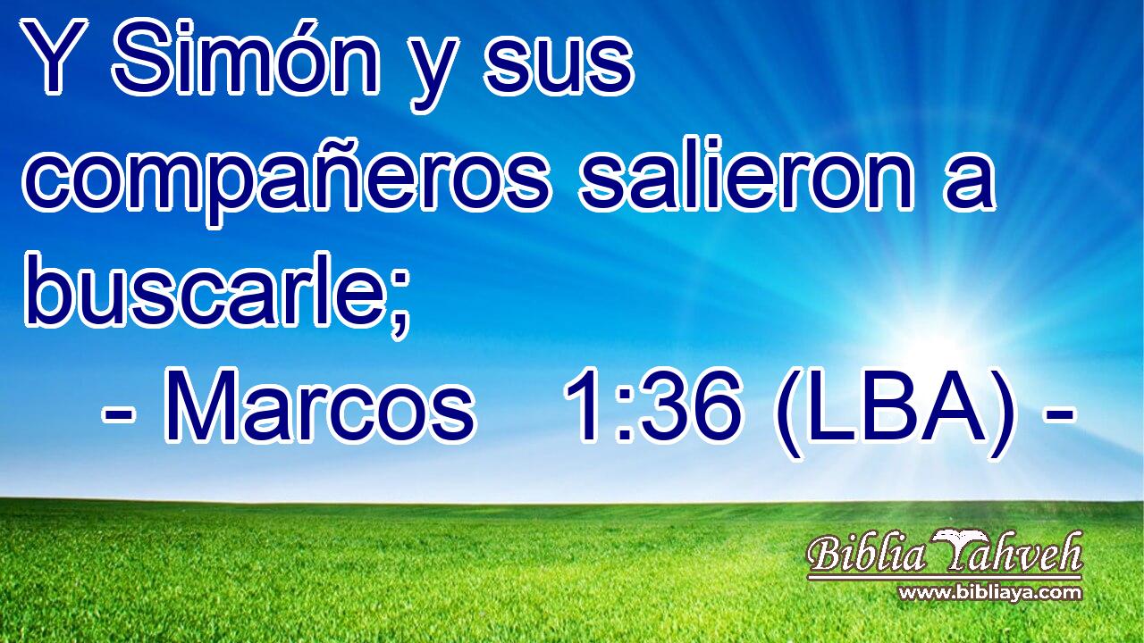 Y Simón y sus compañeros salieron a buscarle;