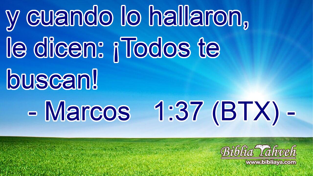 y cuando lo hallaron, le dicen: ¡Todos te buscan!
