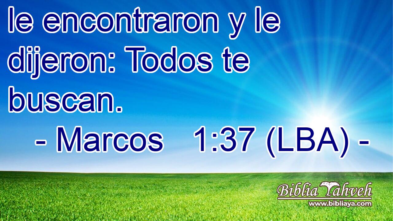 le encontraron y le dijeron: Todos te buscan.