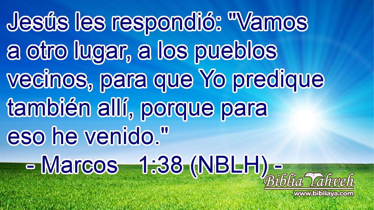  Jesús les respondió: 