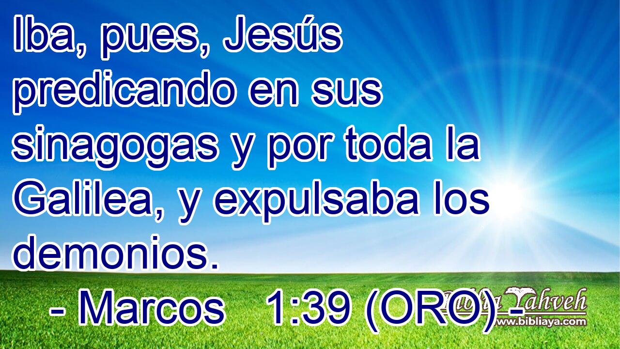  Iba, pues, Jesús predicando en sus sinagogas y por toda la Galilea, y expulsaba los demonios. 
