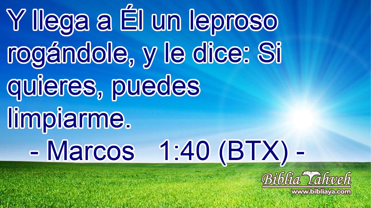 Y llega a Él un leproso rogándole, y le dice: Si quieres, puedes limpiarme.